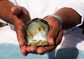 Close-up of a shell with a pearl