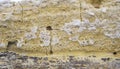 Close-up of shell rock texture. Rough surface of coquina limestone. Natural background