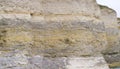 Close-up of shell rock texture. Rough surface of coquina limestone. Natural background