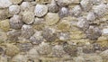 Close-up of shell rock texture. Rough surface of coquina limestone. Natural background