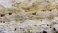 Close-up of shell rock texture. Rough surface of coquina limestone. Natural background Royalty Free Stock Photo