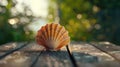Close up of a shell on a wooden table, suitable for nature and beach themes Royalty Free Stock Photo