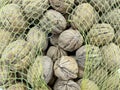 Shelled walnuts in a net Royalty Free Stock Photo