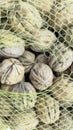 Shelled walnuts in a net Royalty Free Stock Photo