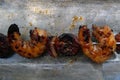 Grilled chorizo shrimp skewer with red onions close-up Royalty Free Stock Photo