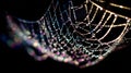 Close-up of a shimmering dew-covered spider web at night Royalty Free Stock Photo