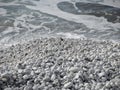 Close up of shingle or rocky or pebble beach with smooth and round white sea stones Royalty Free Stock Photo