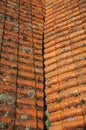 Shingles on roof covered by moss and lichens Royalty Free Stock Photo