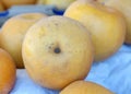 Close up on Shinko Asian Pears on display at Farmers Market Royalty Free Stock Photo