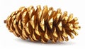 Close up of a Shiny Gold Pinecone on a White Background Royalty Free Stock Photo