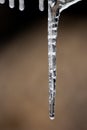 Close up of shiny icicles