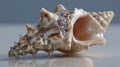 Close-up of a shiny live whelk shell with natural textures Royalty Free Stock Photo