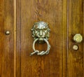 Brass doorknocker, lion head and snake loop design Royalty Free Stock Photo
