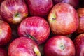 Close-up of shiny red juicy ripe apple fruits at the fruit market, healthy natural food Royalty Free Stock Photo