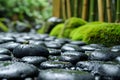 Close-up of shiny stones and lonely frog in a Zen garden