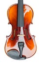 Violin