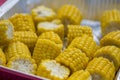 Shiny yellow sweet corn cobs in a metal plate Royalty Free Stock Photo
