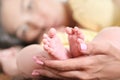 Close up shoot of mother`s hands holding small baby`s feet. Parent caring little baby Royalty Free Stock Photo