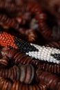 RICH AFRICAN BEADWORK 01 Royalty Free Stock Photo