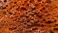 Close up shot of aged brown sponge