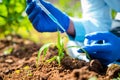 close up shot of agro scientist hands at laboratory adding chemical to small lab grown plant - concept of research