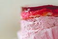 Close-up shot of an alluring scoop of pink ice cream sprinkled with chocolate chips