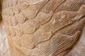 Close-up shot of an ancient decorative wall with intricate swirls in Persepolis, Iran