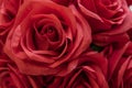 Close-up shot of an artificial flower bouquet of red roses Royalty Free Stock Photo