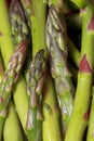Close up shot of Asparagus heads