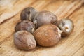 Close Up Shot Of Avocado Seeds