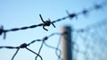 Chain Link Fence with Barbed Wire Prison Perimeter Security