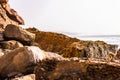 Close-up shot of beautiful landscape with a piece of rocky and mossy shore