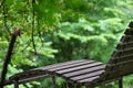 Close up shot of a beautiful wooden park bench in the garden with a blurry background Royalty Free Stock Photo