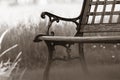 Close up shot of bench by the lake