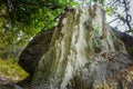 A close up shot of a big ant hill or termite hill in the forest. The mounded nest that ants build out of dirt or sand is called an Royalty Free Stock Photo