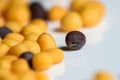 Close up shot of black and yellow mustard seeds. Selective focusing on an isolated black seed