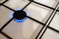 Close up shot of blue fire from domestic kitchen stove top. Gas cooker with burning flames of propane gas. Royalty Free Stock Photo