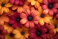 Close-up shot of bright red and yellow flowers in a cluster Royalty Free Stock Photo