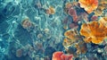 Close-up shot of a bunch of colorful flowers floating on the surface of a body of water Royalty Free Stock Photo