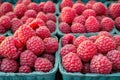 A close-up shot of a bunch of fresh raspberries Royalty Free Stock Photo