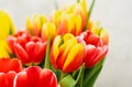 Close-up shot of a bunch of red and yellow tulips Royalty Free Stock Photo