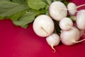 Close up shot of a bunch of turnips