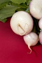Close up shot of a bunch of turnips