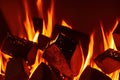 Close up shot of burning firewood in the fireplace, generative ai