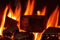 Close up shot of burning firewood in the fireplace, generative ai