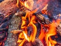 Close up shot of a camp fire in Beavers Bend State Park