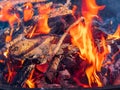 Close up shot of a camp fire in Beavers Bend State Park