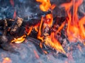 Close up shot of a camp fire in Beavers Bend State Park