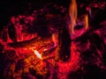 Close up shot of a camp fire in Beavers Bend State Park