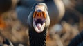 Close-up shot captures an angry goose in an aggressive stance, its beak wide open in attack mode, Ai Generated